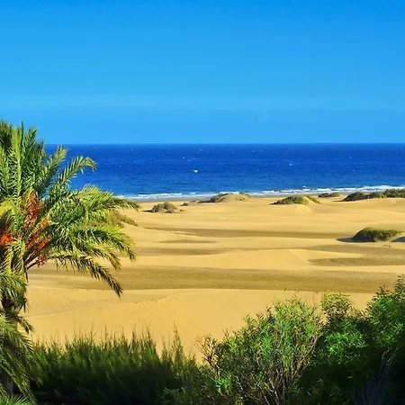 Duna Flor Maspalomas (Gran Canaria)